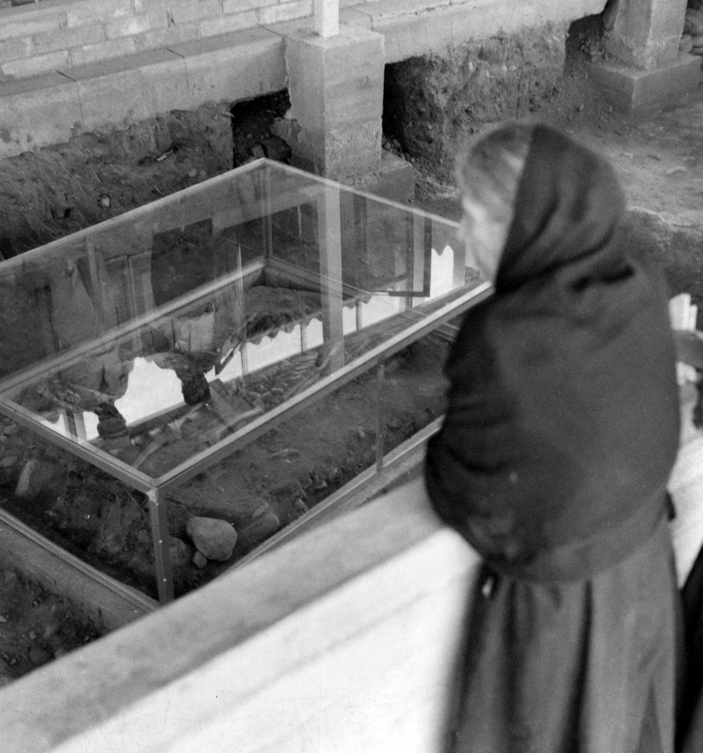 Father Eusebio Kino